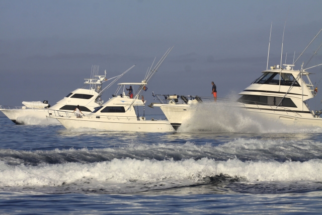 Grupos de pesca ida
